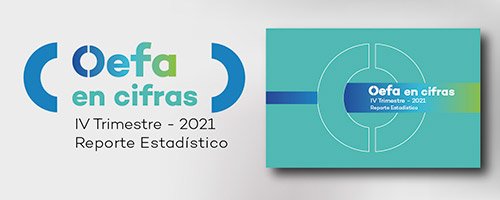 OEFA en cifras. Reporte Estadístico – IV Trimestre 2021
