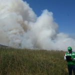 El OEFA ya se encuentra supervisando incendio ocurrido en Los Pantanos de Villa