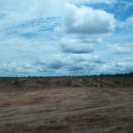 El OEFA supervisa entidades de fiscalización ambiental en Loreto para prevenir deforestación en Tamshiyacu