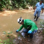 El OEFA supervisa las acciones de remediación de Petroperú S.A. ante el derrame de petróleo ocurrido en Amazonas