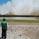 El OEFA se encuentra supervisando el incendio ocurrido en los Humedales de Ite, en Tacna