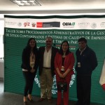 Especialistas del OEFA se capacitan en México en gestión de sitios contaminados