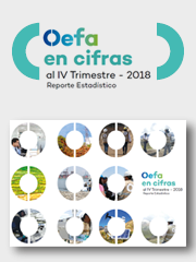 OEFA en cifras. Reporte Estadístico – IV Trimestre 2018