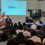 OEFA capacita a 121 funcionarios/as de las Entidades de Fiscalización Ambiental de la región Huánuco para que formulen adecuadamente su Planefa 2019 y 2020