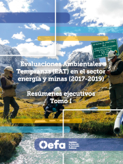 Compendio de Resúmenes Ejecutivos de Evaluaciones Ambientales Tempranas en el sector energía y minas (2017-2019). Tomo I