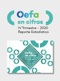 OEFA en cifras. Reporte Estadístico – IV Trimestre 2020