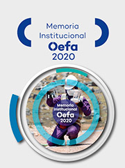 Memoria Institucional OEFA 2020