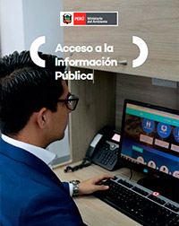 Acceso a la Información Pública
