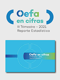 OEFA en cifras. Reporte Estadístico – III Trimestre 2021