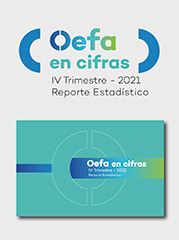 OEFA en cifras. Reporte Estadístico – IV Trimestre 2021